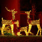 Pre-Lit 3-Piece Lighted Christmas Reindeer Family Set – Weatherproof 2D Outdoor Decor with 200 Warm White LEDs, Holiday Cheer for Christmas 2024