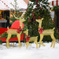 Pre-Lit 3-Piece Lighted Christmas Reindeer Family Set – Weatherproof 2D Outdoor Decor with 200 Warm White LEDs, Holiday Cheer for Christmas 2024