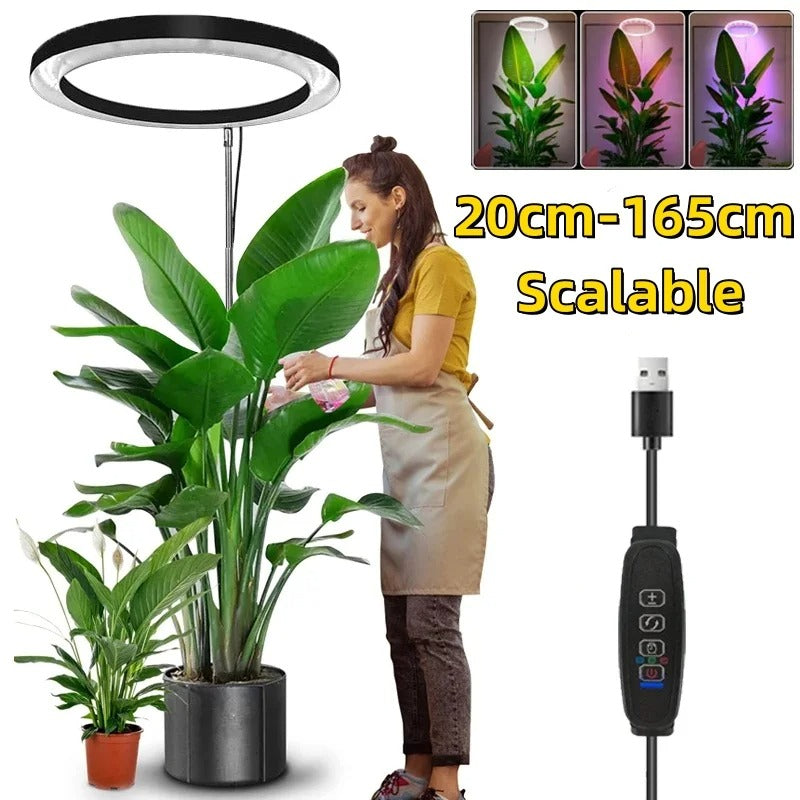 Vekstlys for innendørs planter Fullspektret LED plantebelysning, helårig vekst, energieffektiv