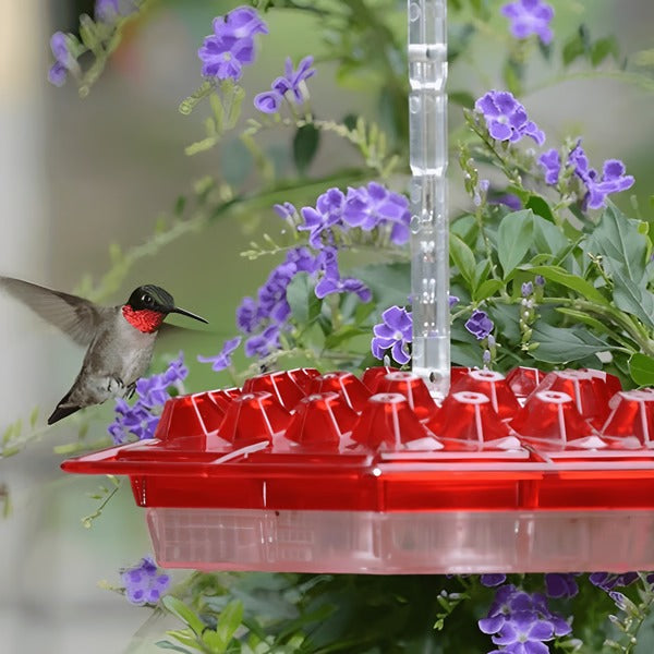 Mangiatoia per Colibrì con Antimoat Integrato, Mangiatoia per Uccelli da Giardino per Patio, Regalo per la Fauna Selvatica del Cortile Estate 2025