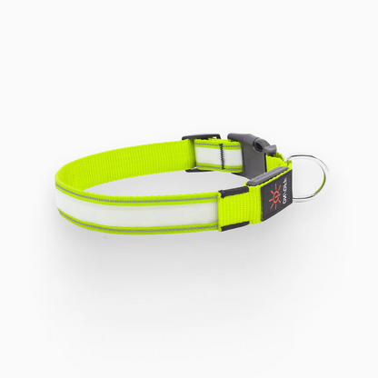 Product photo 9 (101aea20)