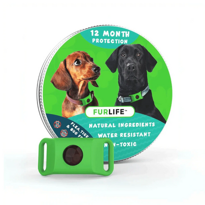 Product photo 4 (589ecb3d)