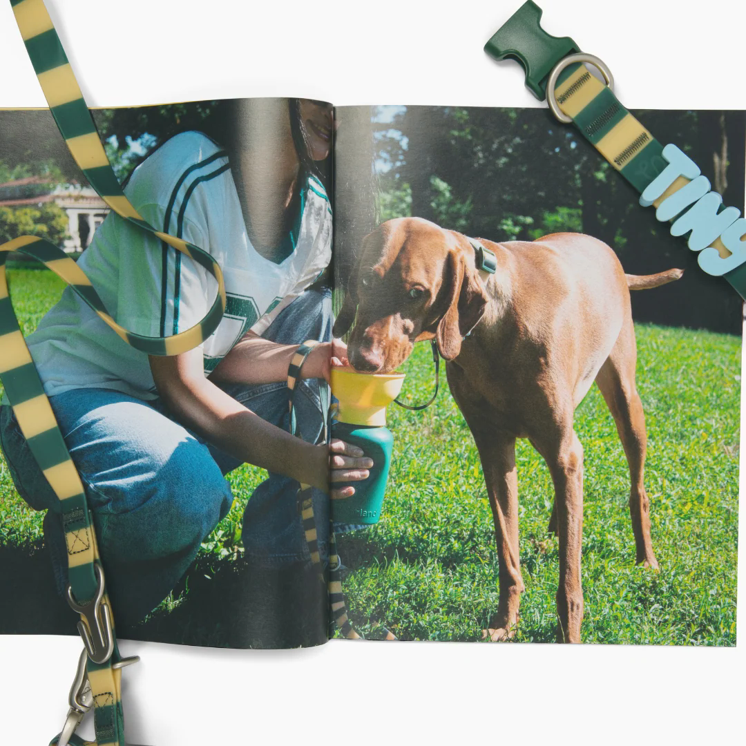 Product photo 107 (84f922f7)
