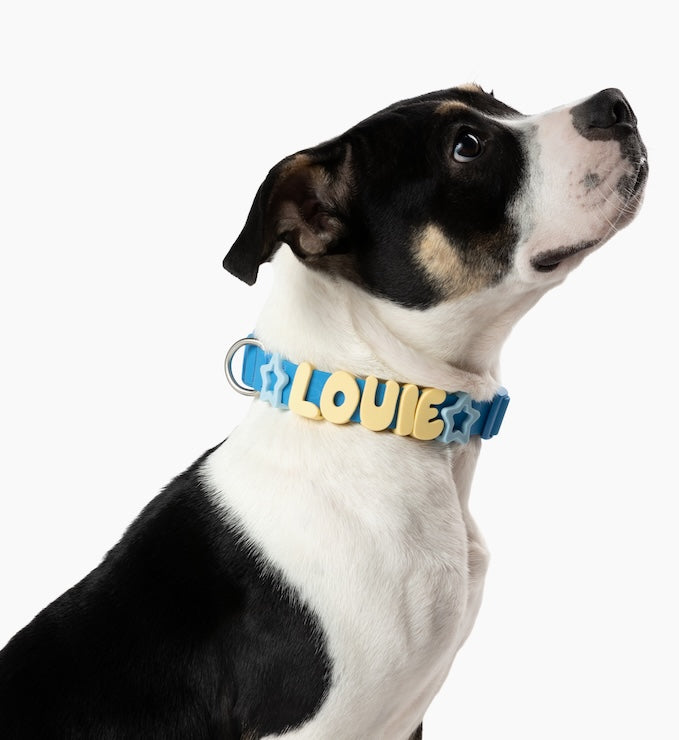 Product photo 14 (84f922f7)