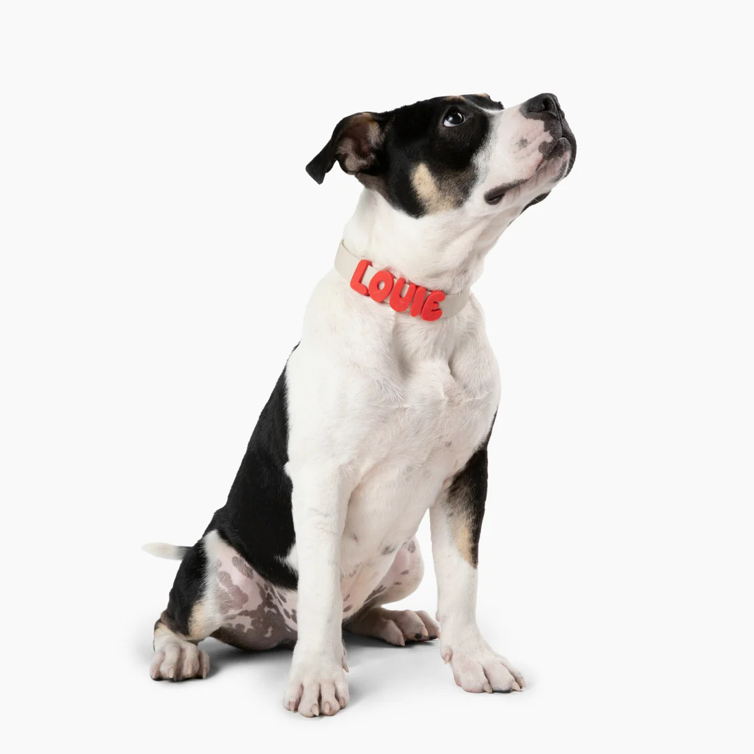 Product photo 28 (84f922f7)