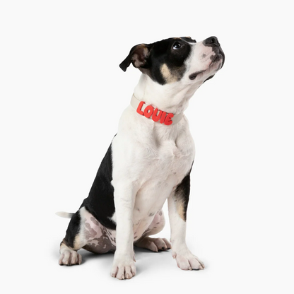 Product photo 28 (84f922f7)