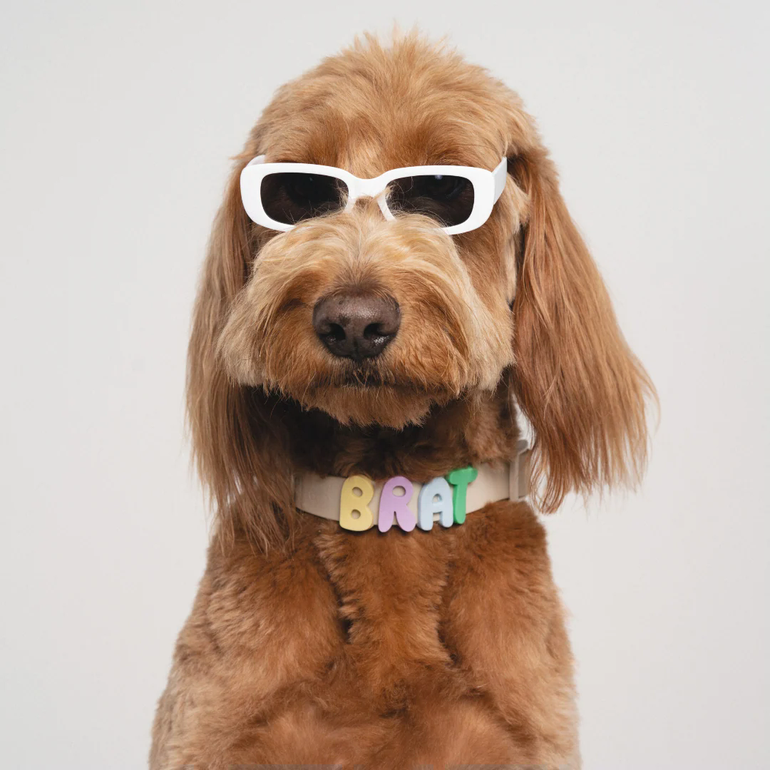 Product photo 31 (84f922f7)