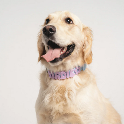 Product photo 34 (84f922f7)