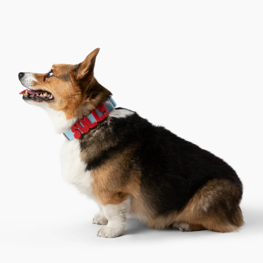 Product photo 36 (84f922f7)