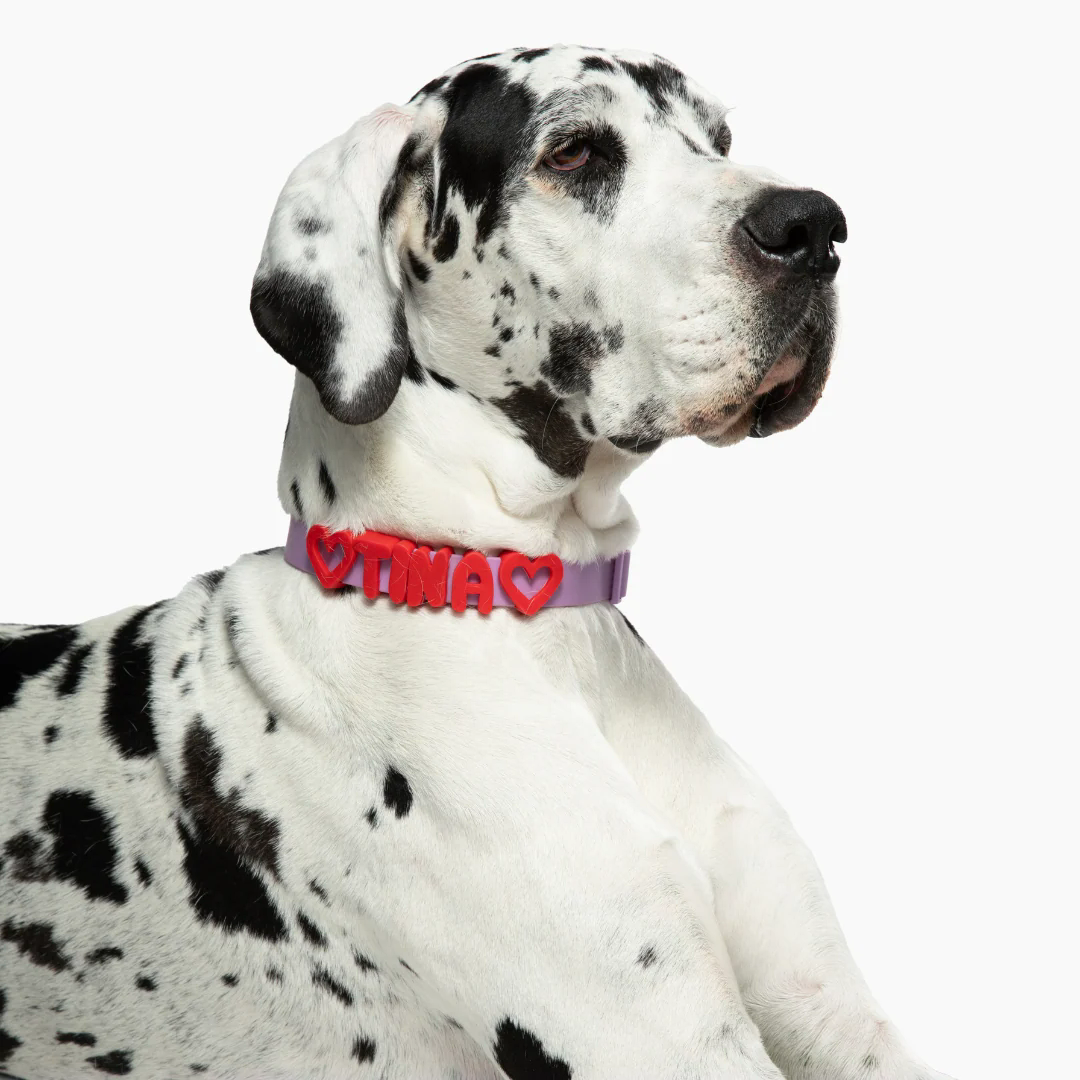 Product photo 5 (84f922f7)