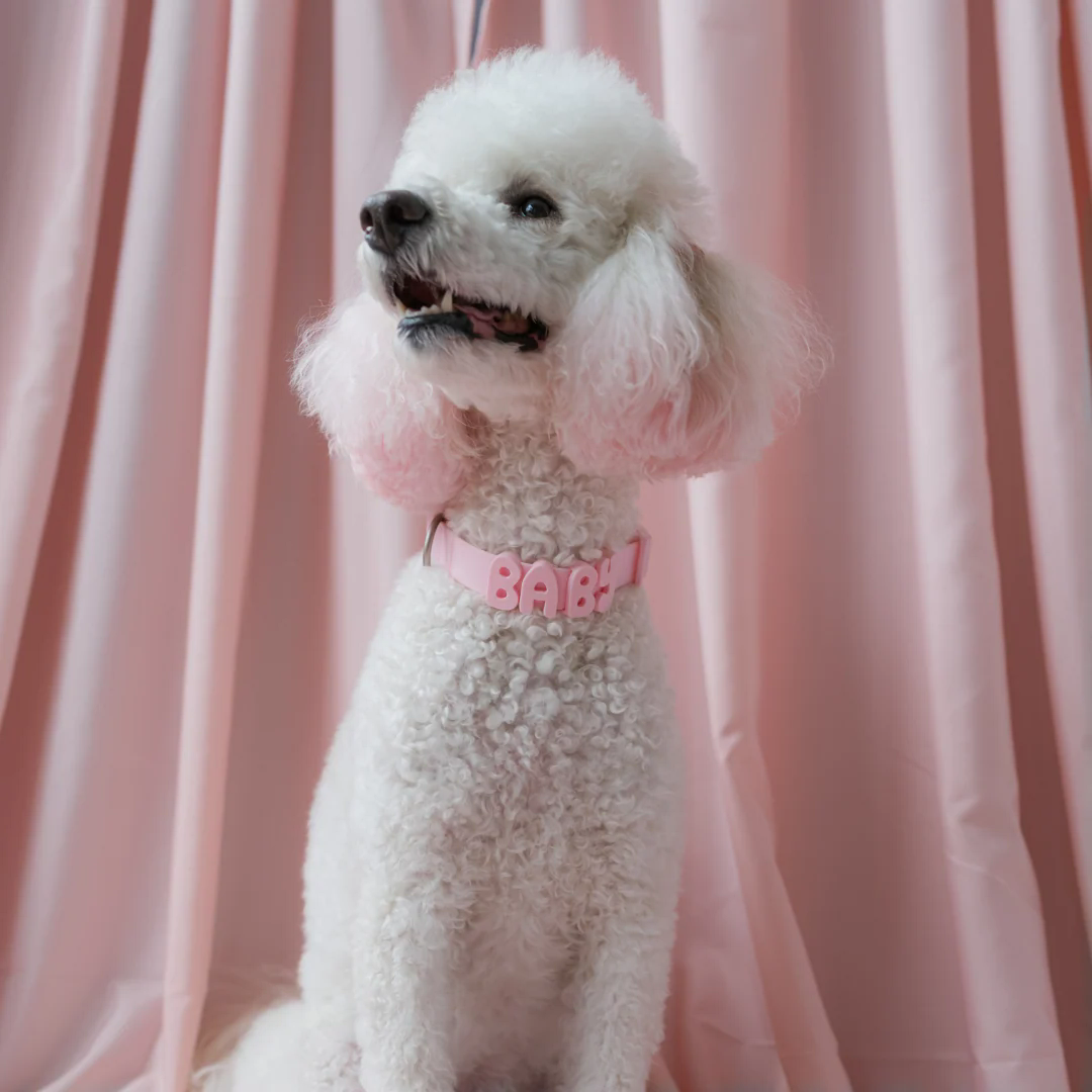 Product photo 65 (84f922f7)