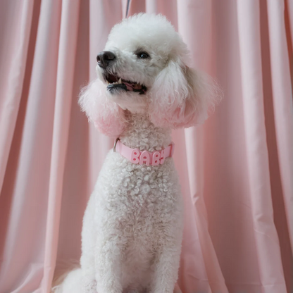 Product photo 65 (84f922f7)