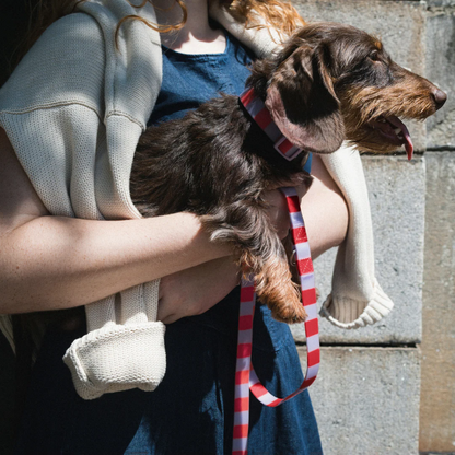 Product photo 96 (84f922f7)