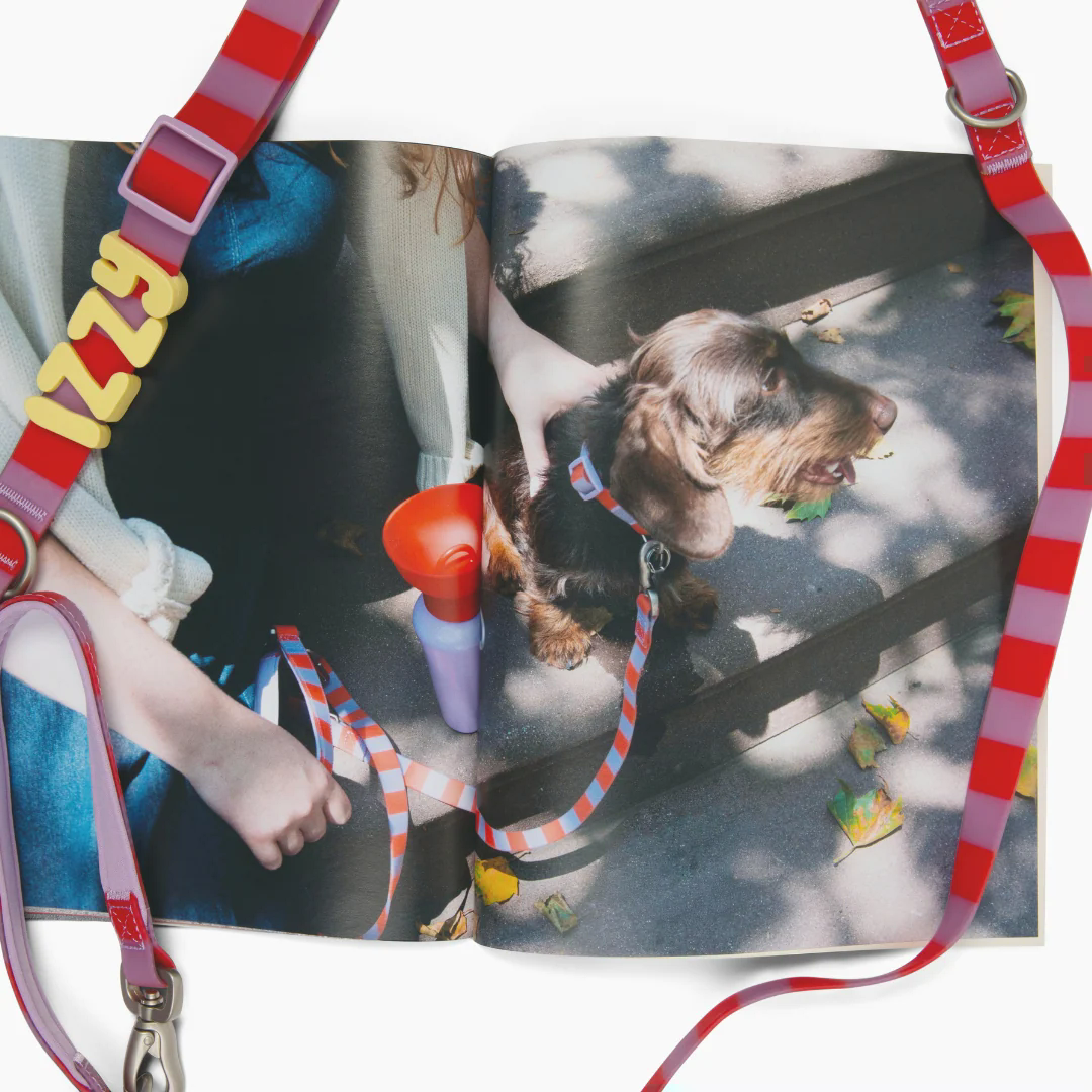 Product photo 99 (84f922f7)