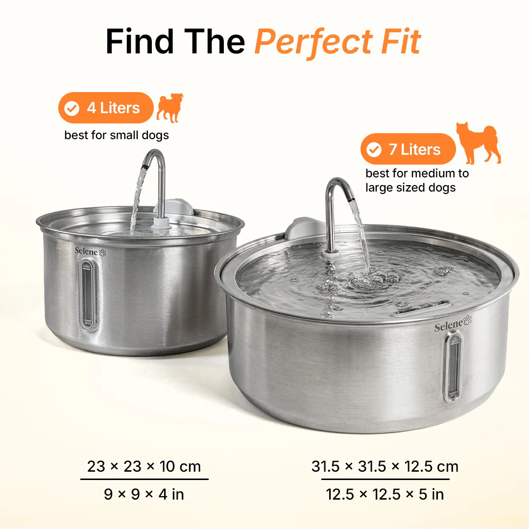 Product photo 5 (9b4a3635)