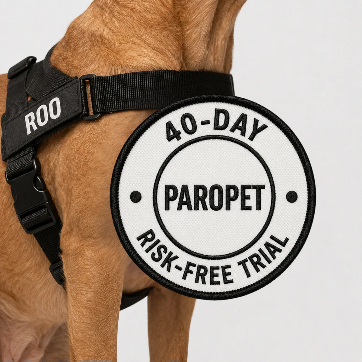 Product photo 12 (af192a74)