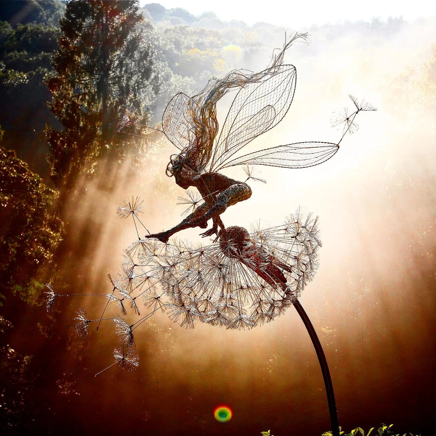 Selected Variant Image