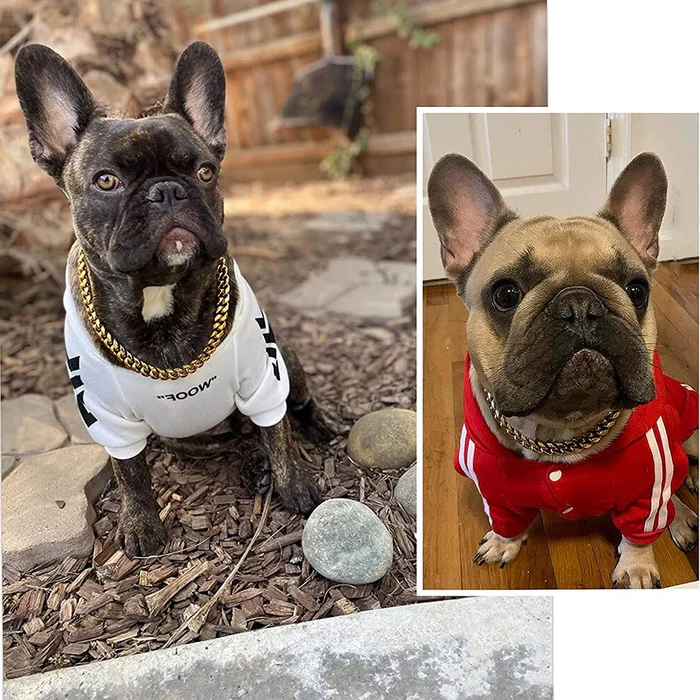 Collar de cadena para perro – Cadena resistente, resistente a mordeduras, accesorio duradero para mascotas para paseos diarios Regalo otoño 2025