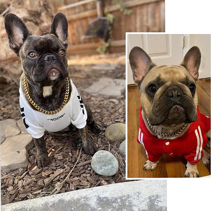 Collar de cadena para perro – Cadena resistente, resistente a mordeduras, accesorio duradero para mascotas para paseos diarios Regalo otoño 2025