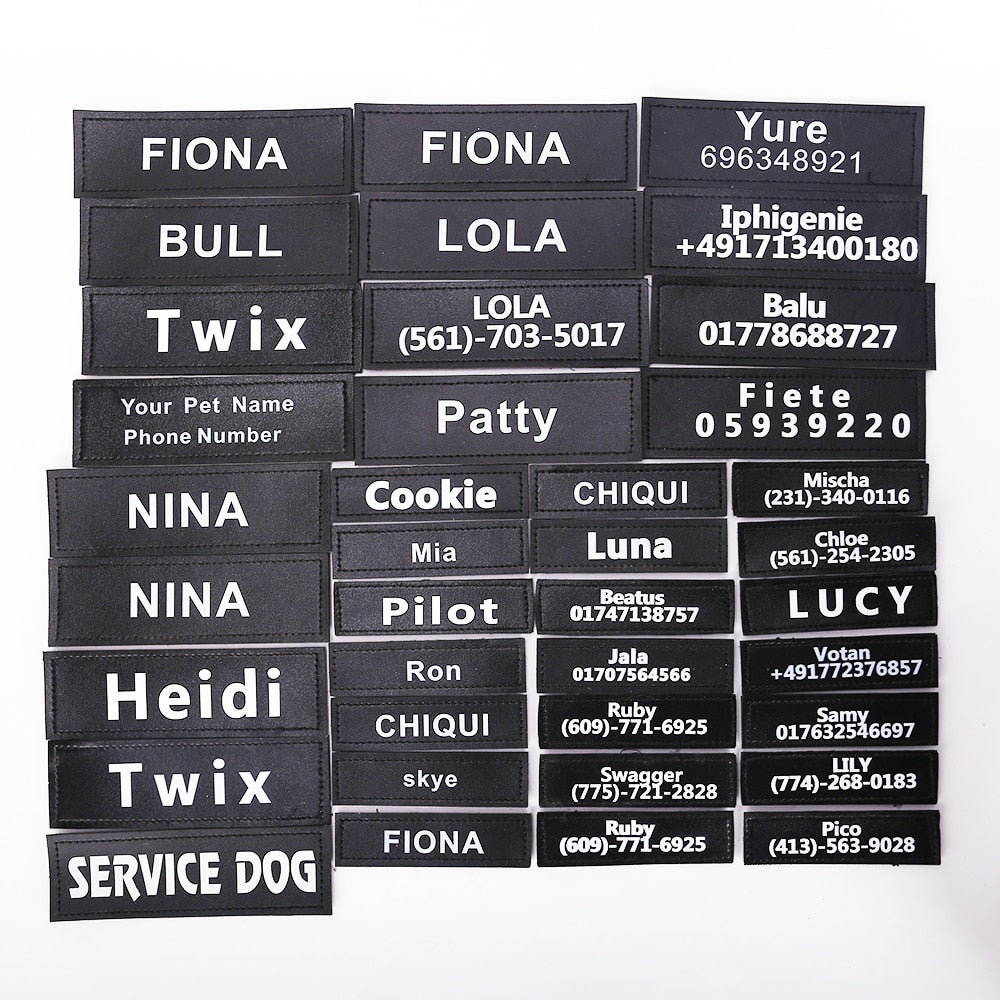 Custom Patch For Harness Dog Name And Phone Number Patch Two Line Text Fall 2025 Gift