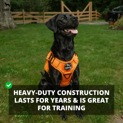 Dog Harness No-Pull Tactical Front Clip With 4 Quick-Release Buckles Reflective Strips Top Handle Fall 2025