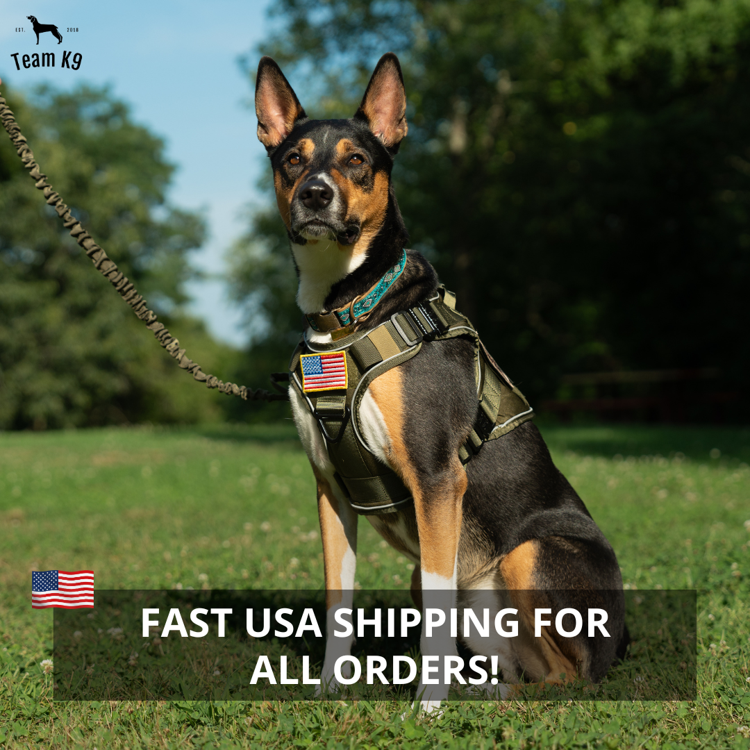 Dog Harness No-Pull Tactical Front Clip With 4 Quick-Release Buckles Reflective Strips Top Handle Fall 2025