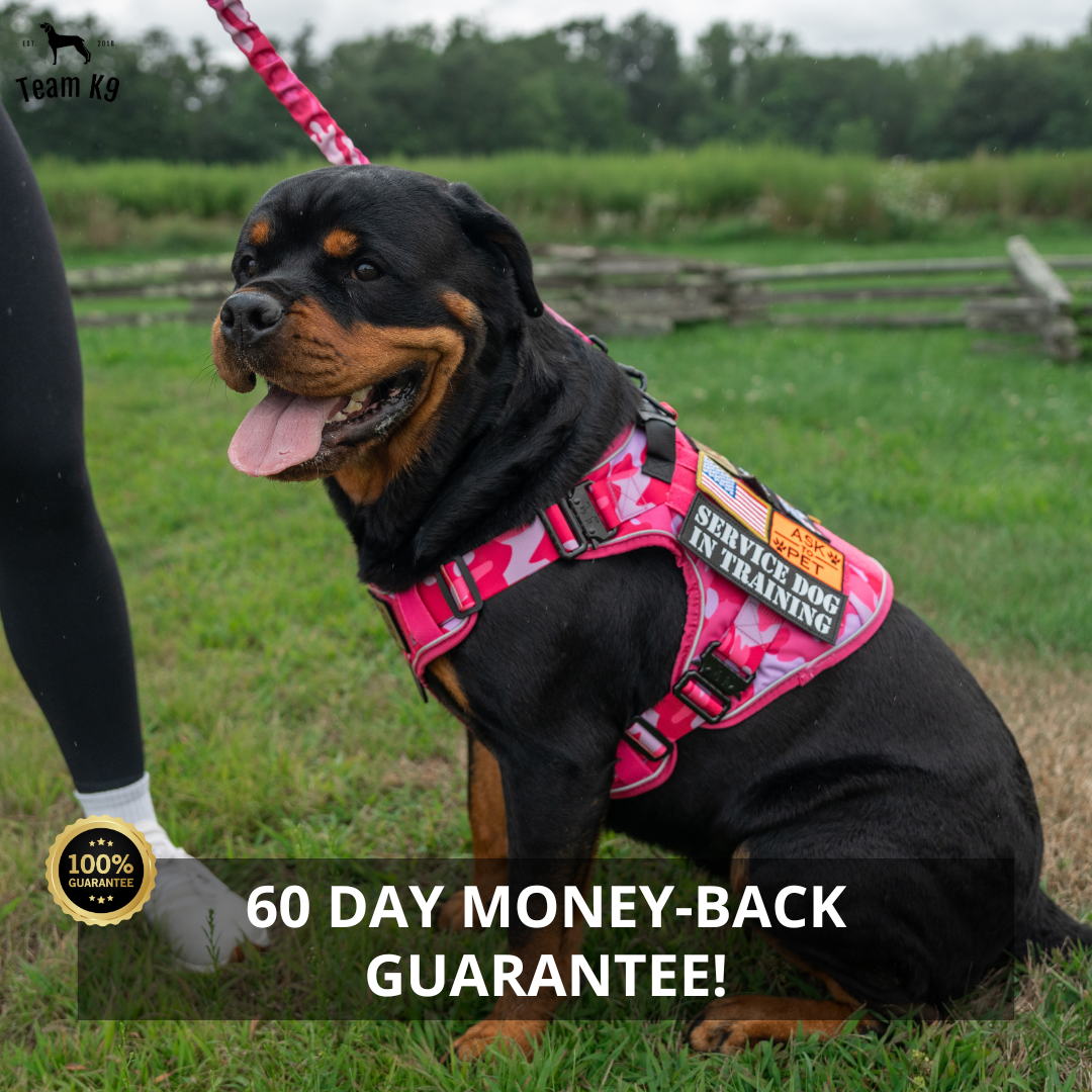 Dog Harness No-Pull Tactical Front Clip With 4 Quick-Release Buckles Reflective Strips Top Handle Fall 2025