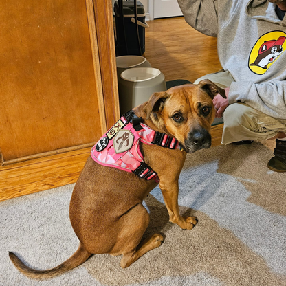 Dog Harness No-Pull Tactical Front Clip With 4 Quick-Release Buckles Reflective Strips Top Handle Fall 2025