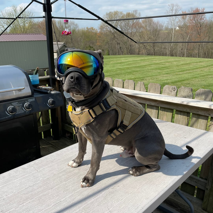 Dog Harness No-Pull Tactical Front Clip With 4 Quick-Release Buckles Reflective Strips Top Handle Fall 2025