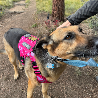 Dog Harness No-Pull Tactical Front Clip With 4 Quick-Release Buckles Reflective Strips Top Handle Fall 2025