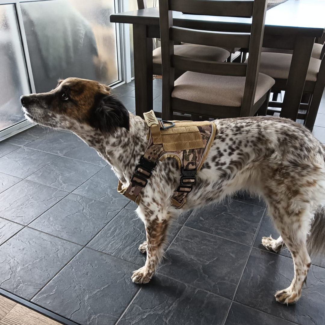 Dog Harness No-Pull Tactical Front Clip With 4 Quick-Release Buckles Reflective Strips Top Handle Fall 2025